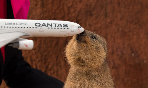 Qantas Dreamliner Fleet Names Revealed